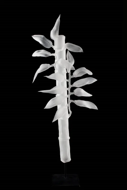 Bamboo