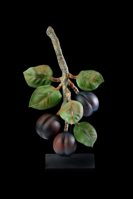 Black Plums