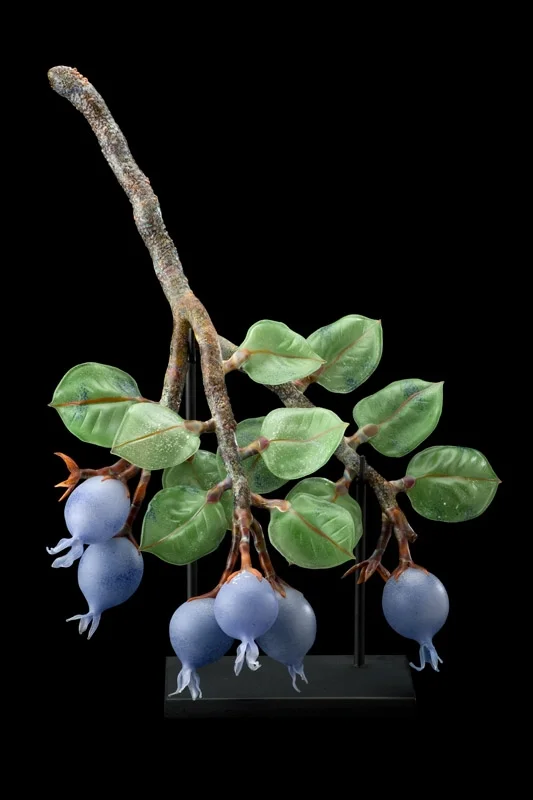 Periwinkle Blossoms