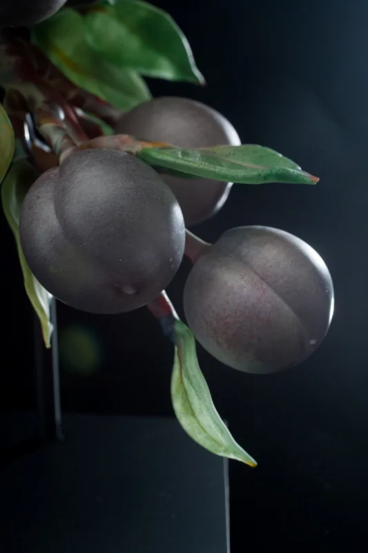 Plum Branch 2014