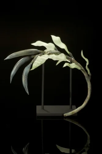 Blue Moon Pods, 2007