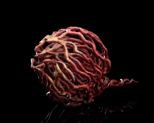 Tumbleweed Before its Tumble, 2011