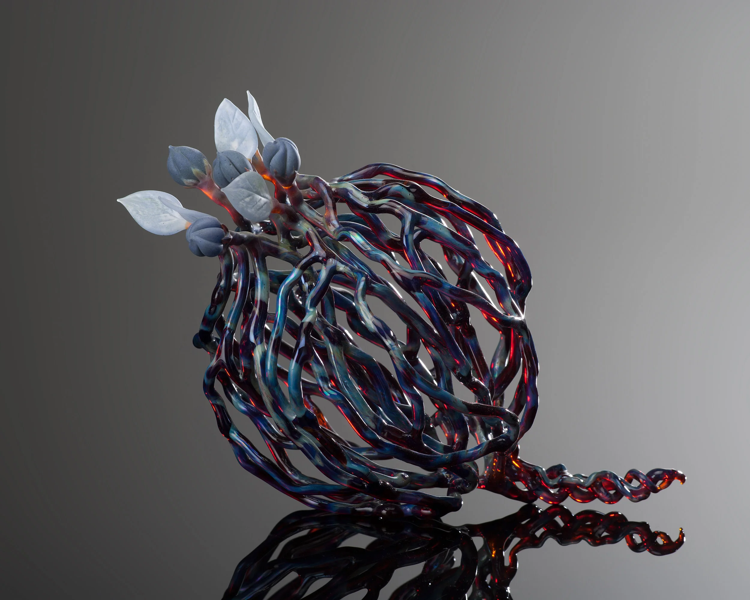 Tumbleweed from Elsewhere.jpg