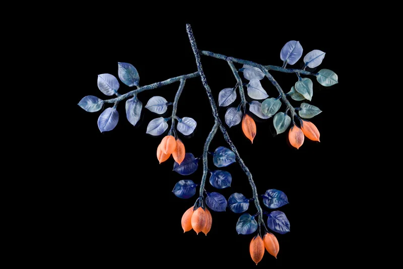 Apricots from Elsewhere.jpg