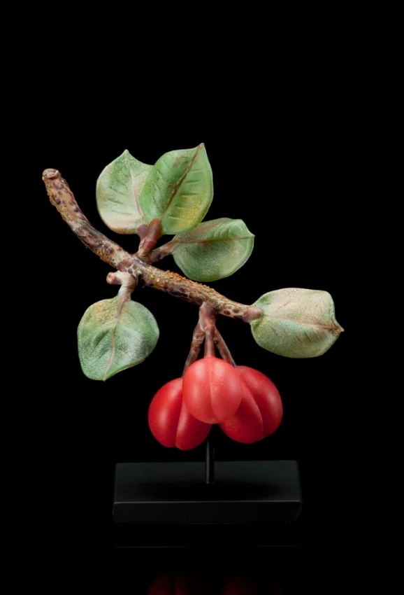 Red Plums (2).jpg