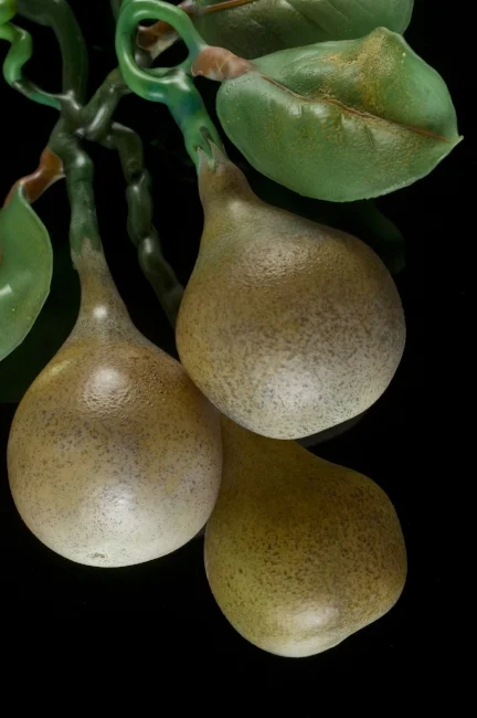 Gourds detail.jpg