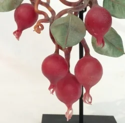 garnet changes.jpg