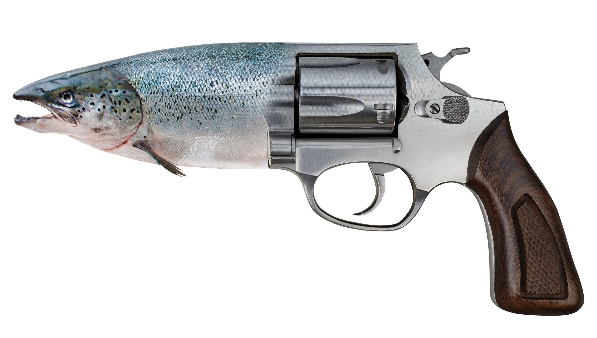 GMO Salmon.jpg