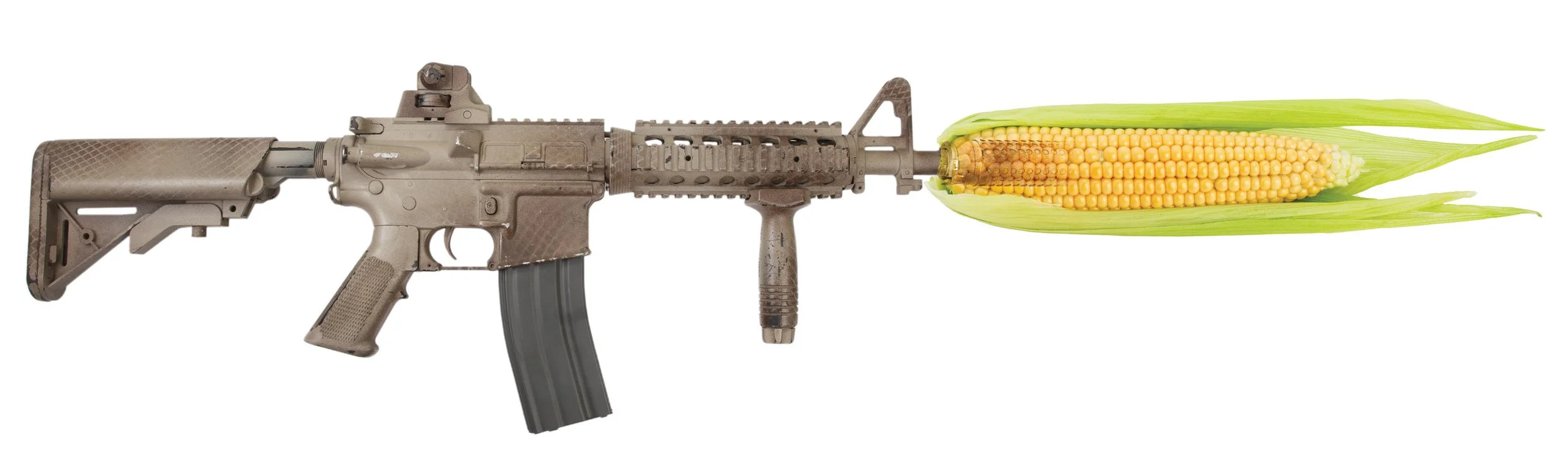 Assault GMO Corn.jpg
