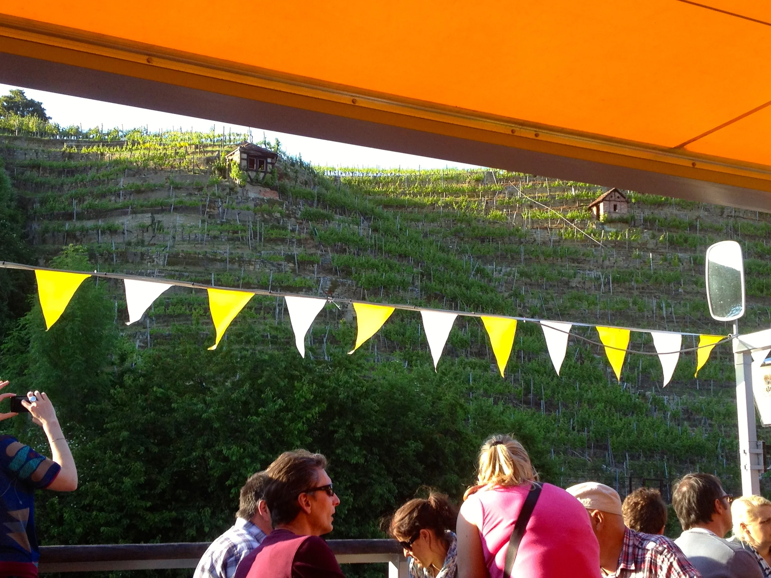Cruising past the vineyards