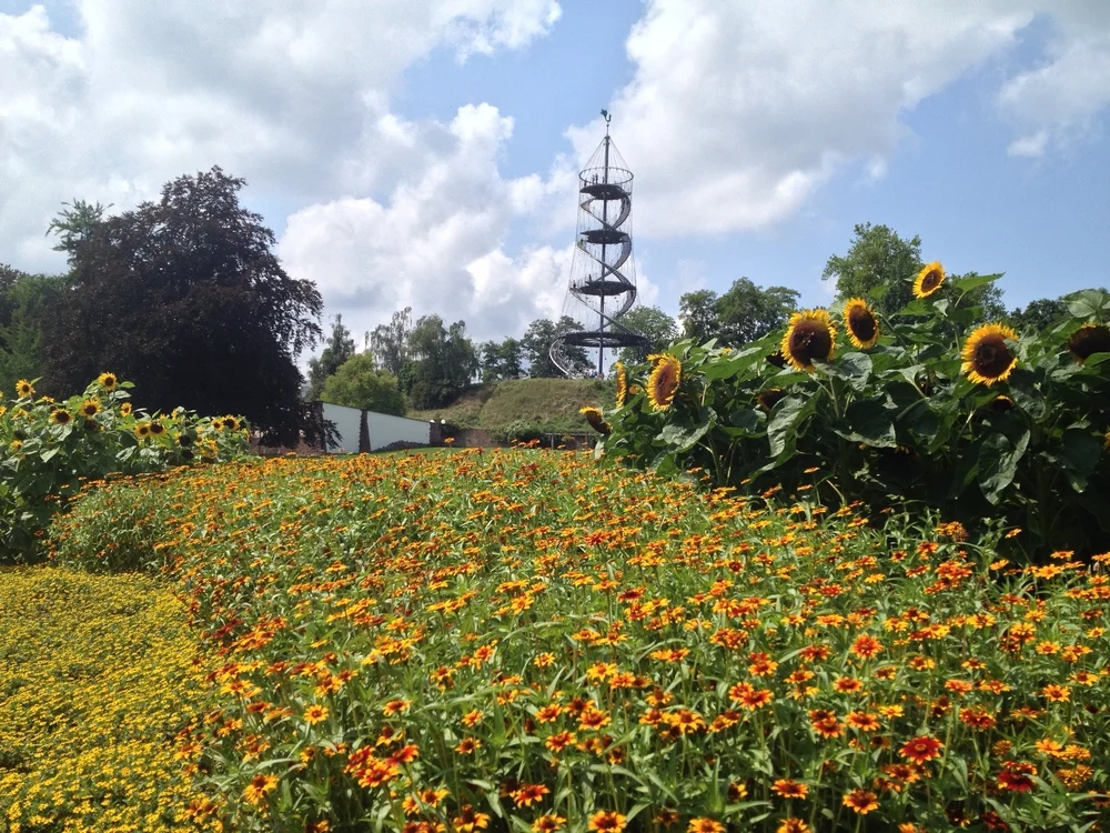 Walking Off A Large Meal In And Around Stuttgart