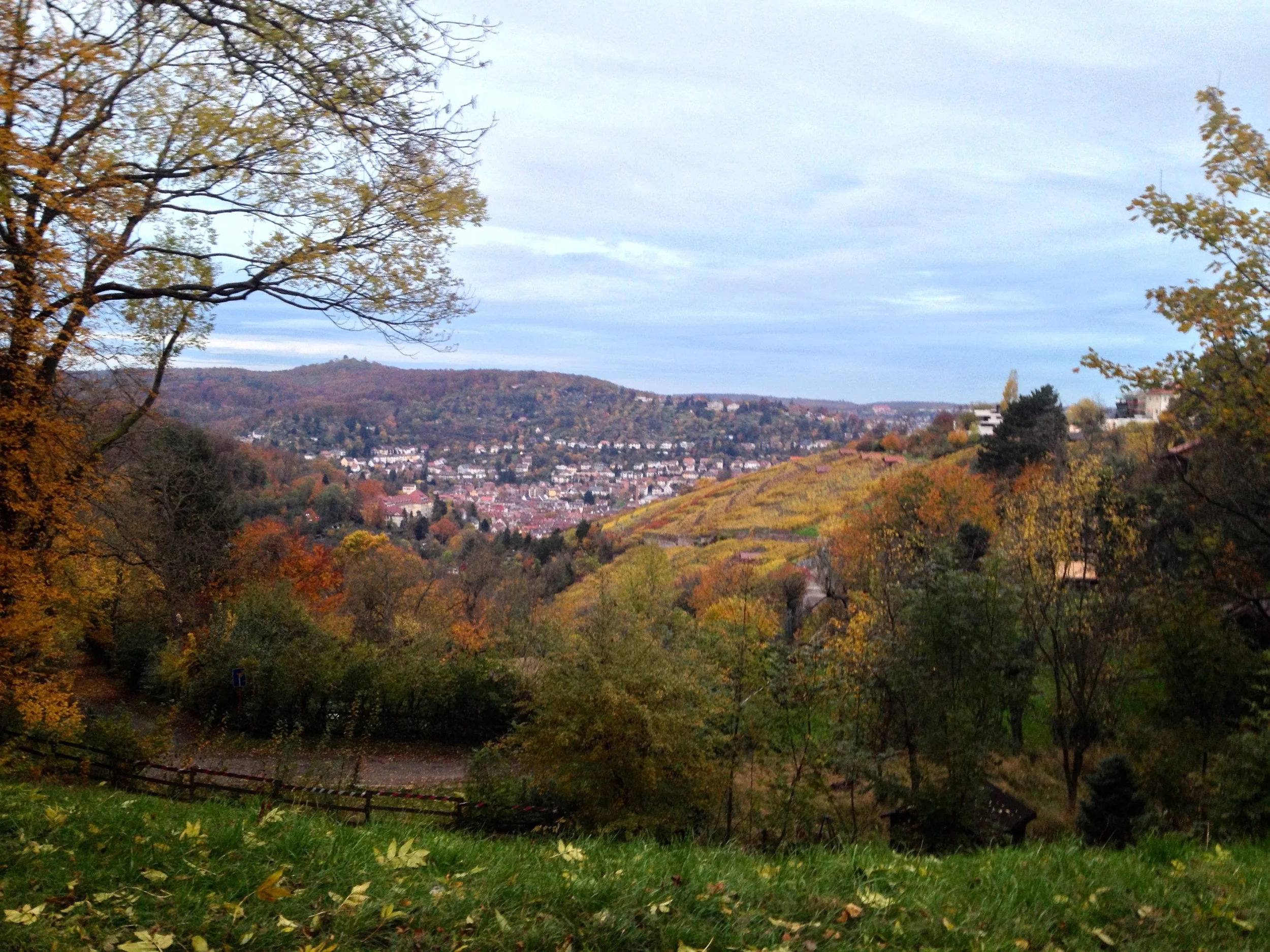 More Walks In And Around Stuttgart