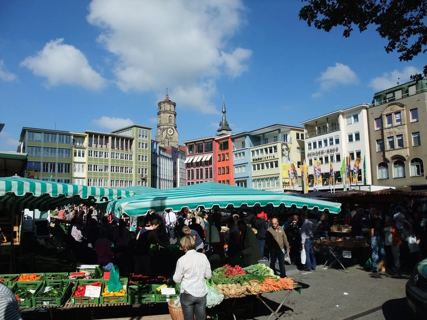 Celebrating Seasonal Produce at the Stuttgart Market