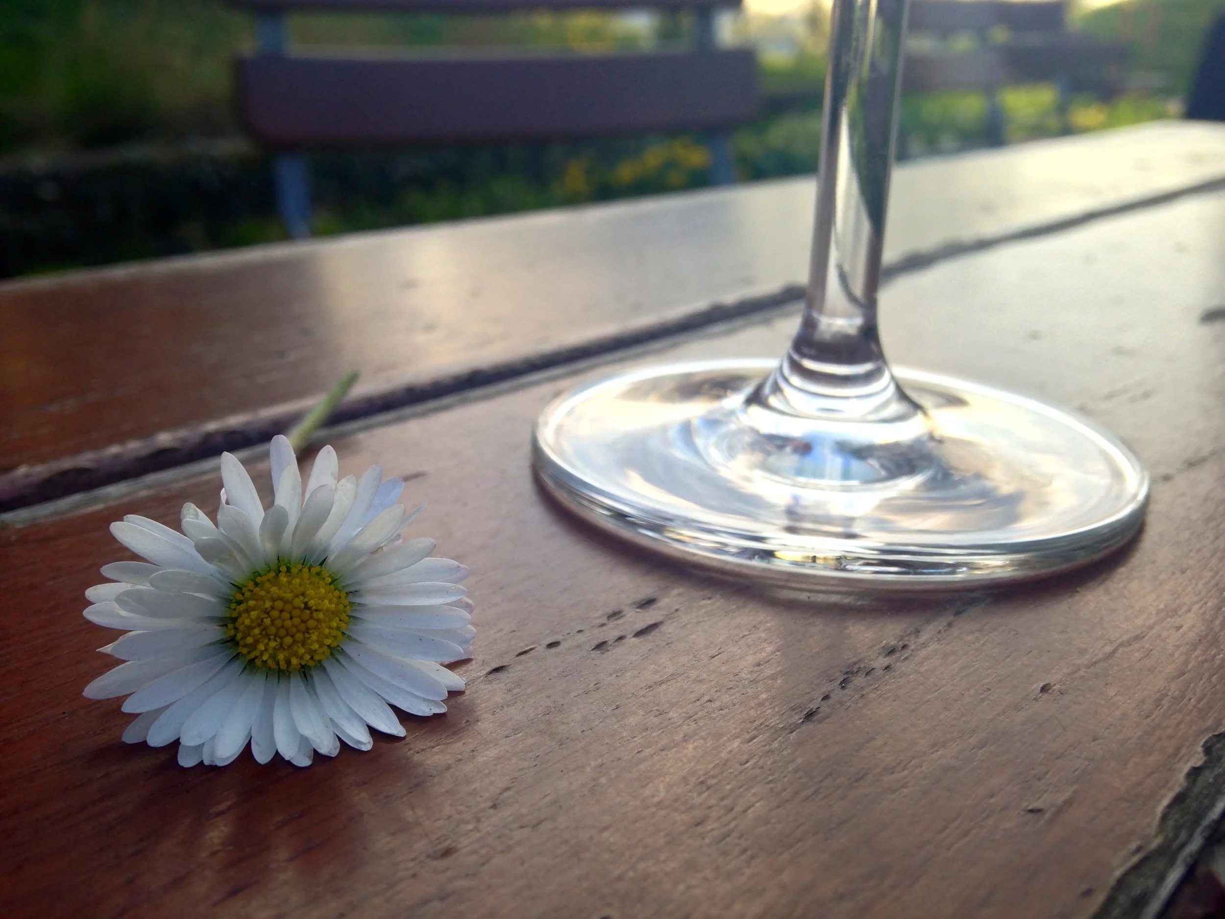 Upcoming Festivals and Events March/April 2016