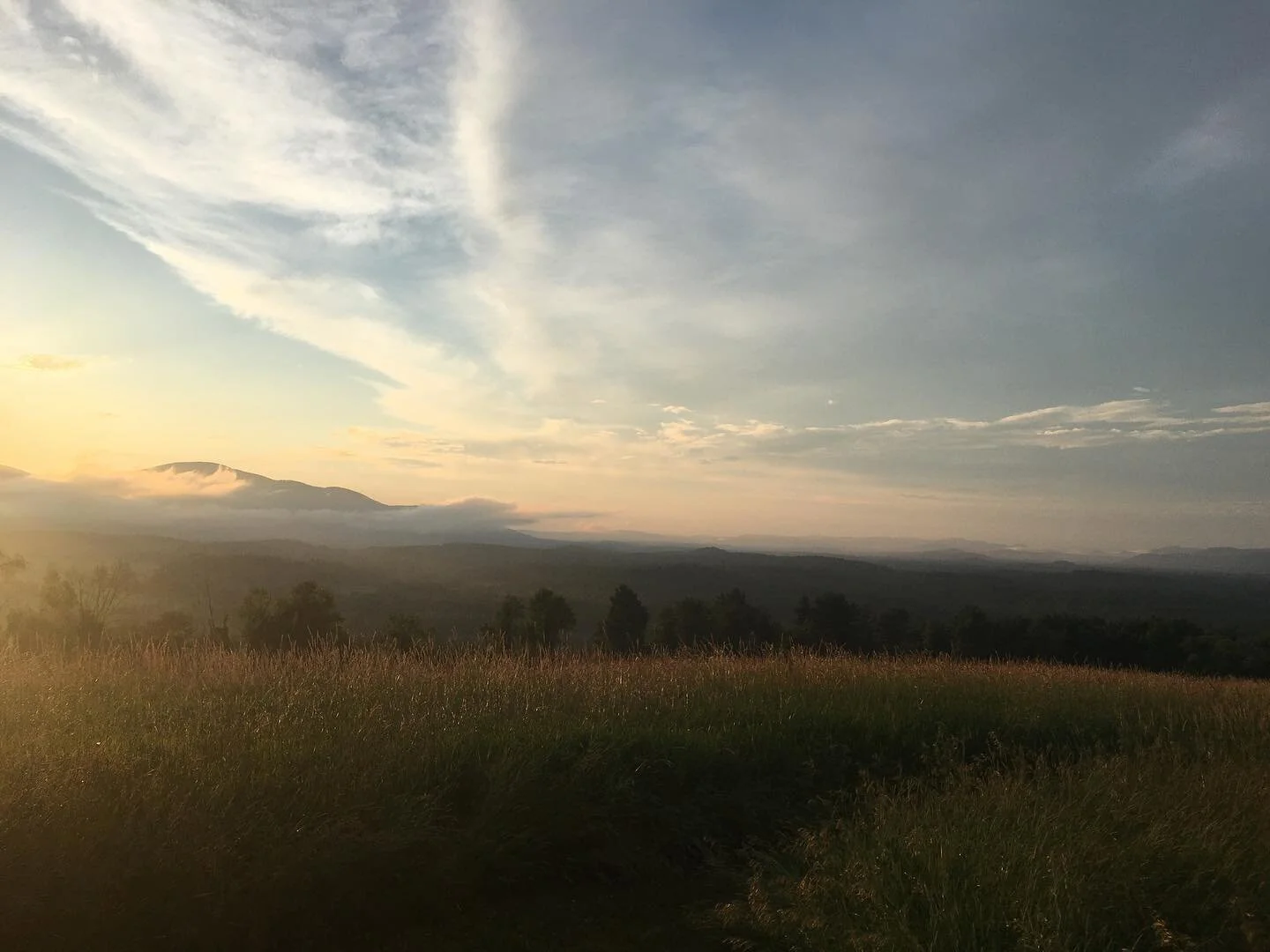 This was on top of a very steep hill
-
-
-
-
-
#views #hiking