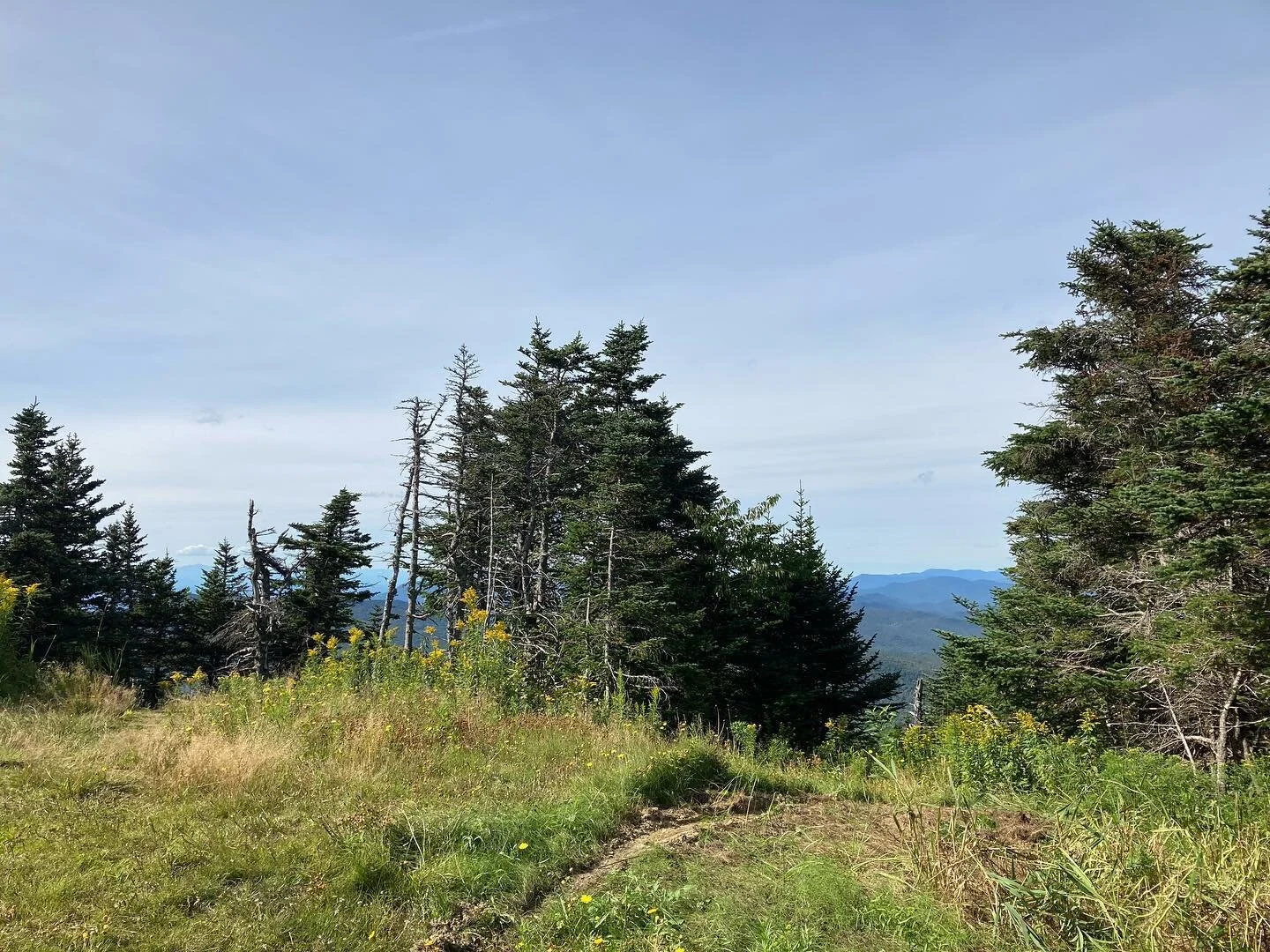This hike was 100% hill 
-
-
-
-
-
-
-
-
-
-
#hiking #vermont