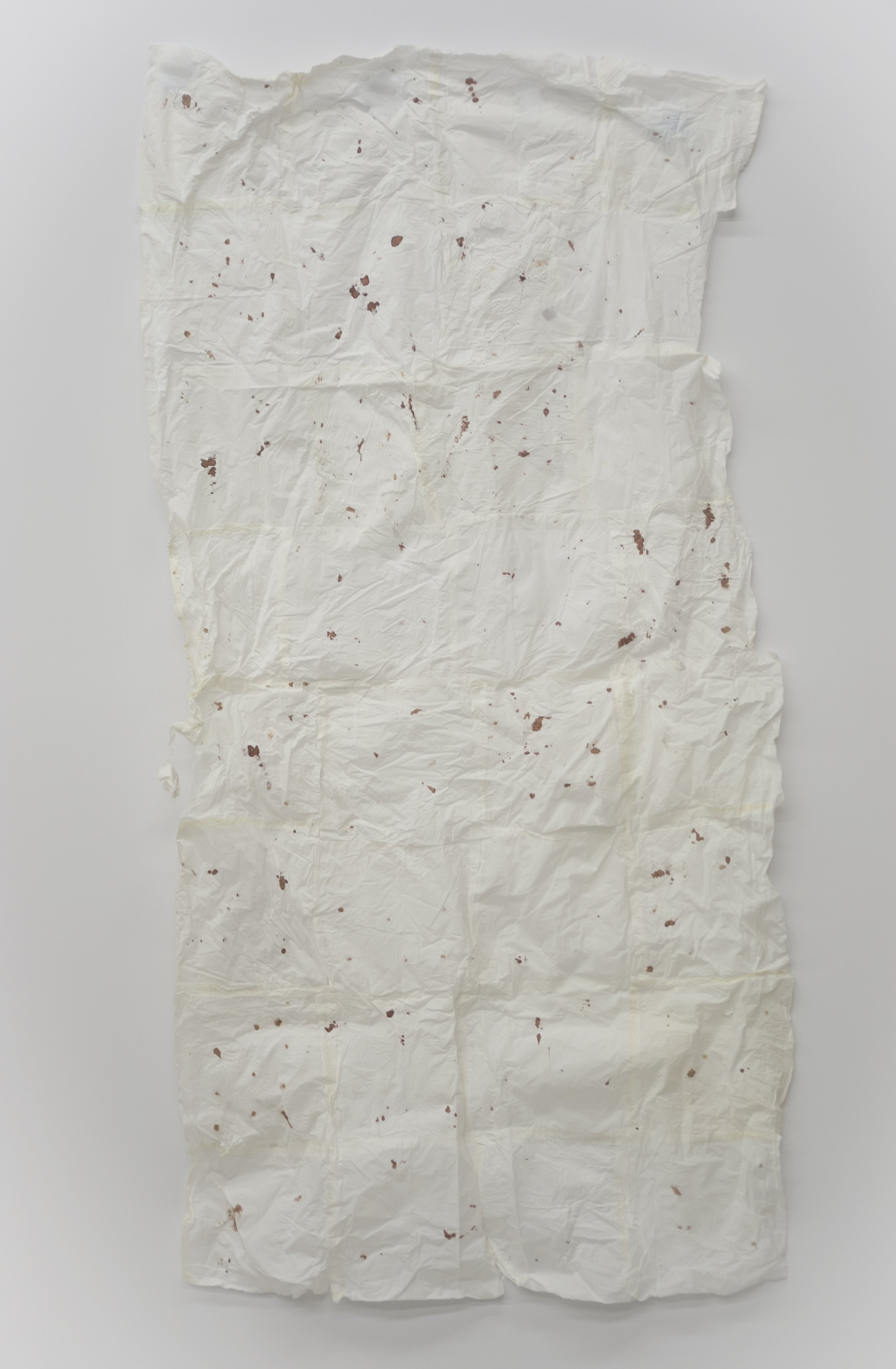 5’x3’ tapestry created from tissues with blood 