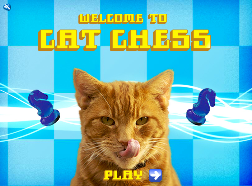 cat_chess_1_905.jpg