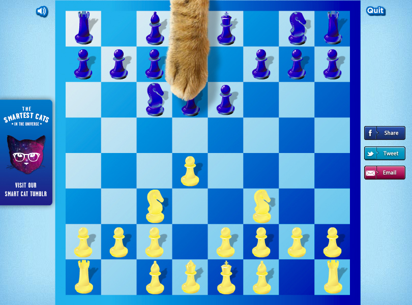 cat_chess_4_905.jpg