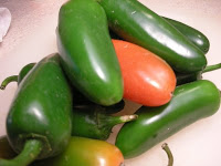 DSCN4106.jpg