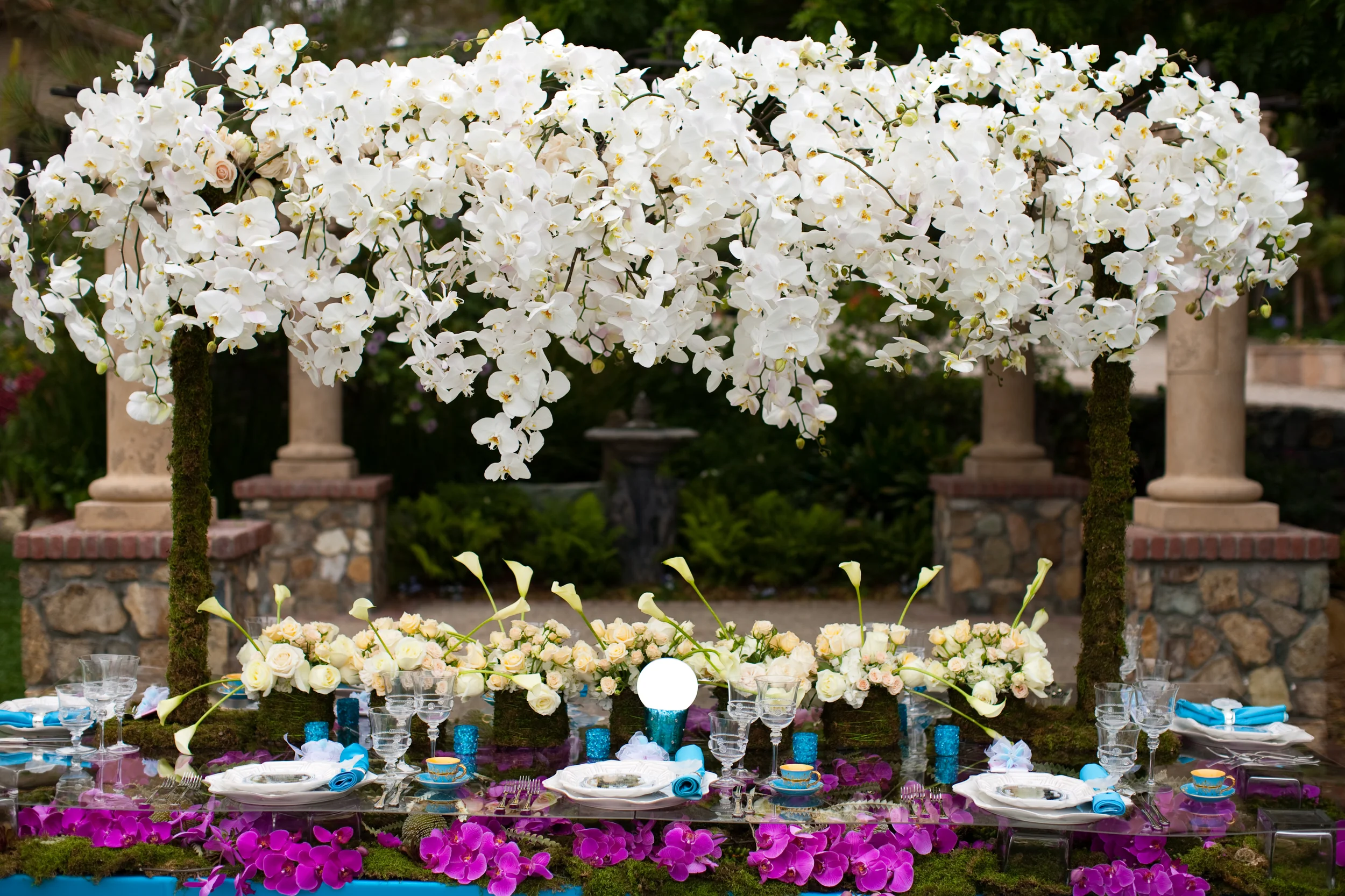 1 White Orchids .jpg