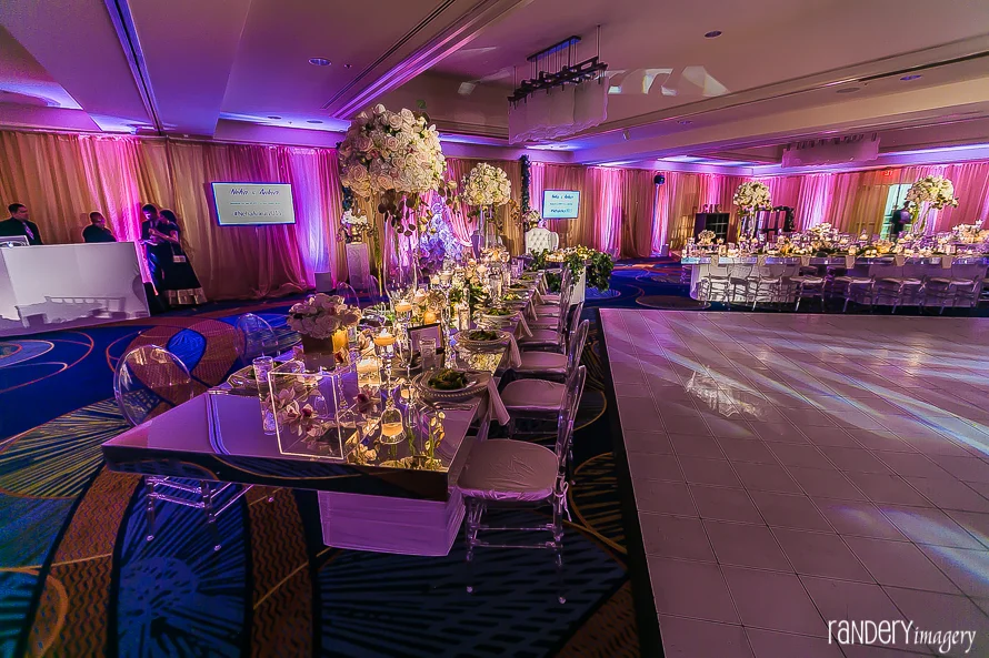 NehAnkWed-1301.jpg