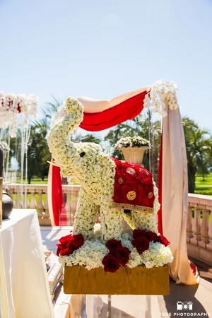 Floral elephant.jpg