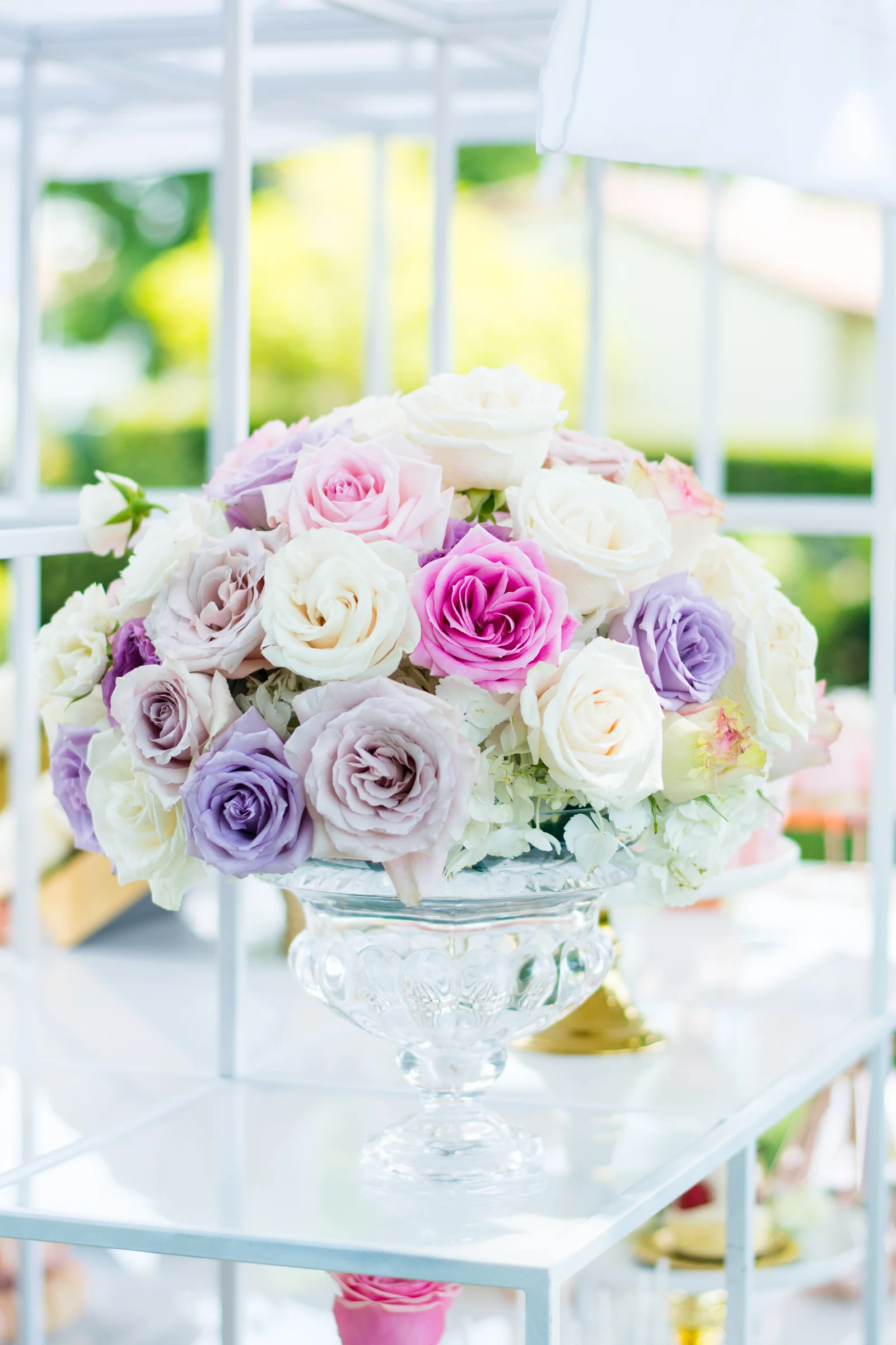 RachaelSmithPhotography_RSP-51.jpg