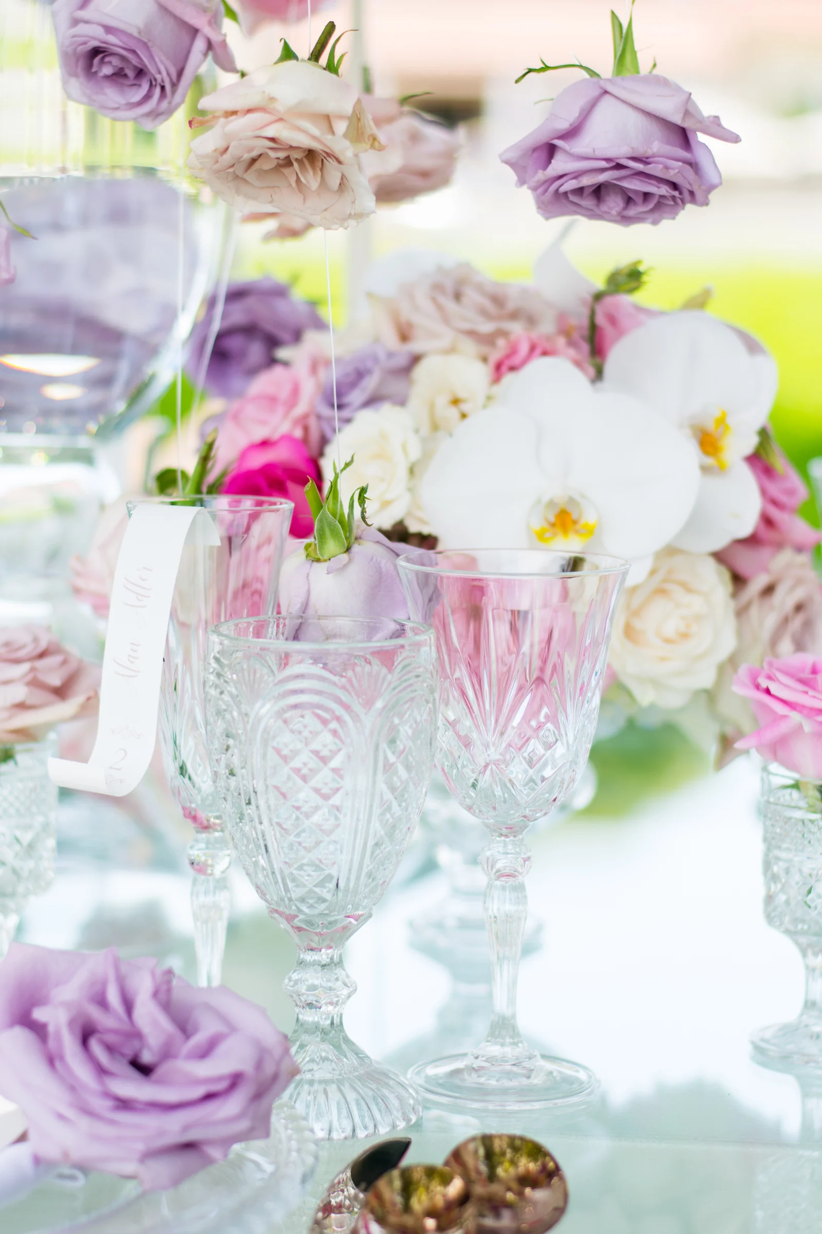 RachaelSmithPhotography_RSP-81.jpg