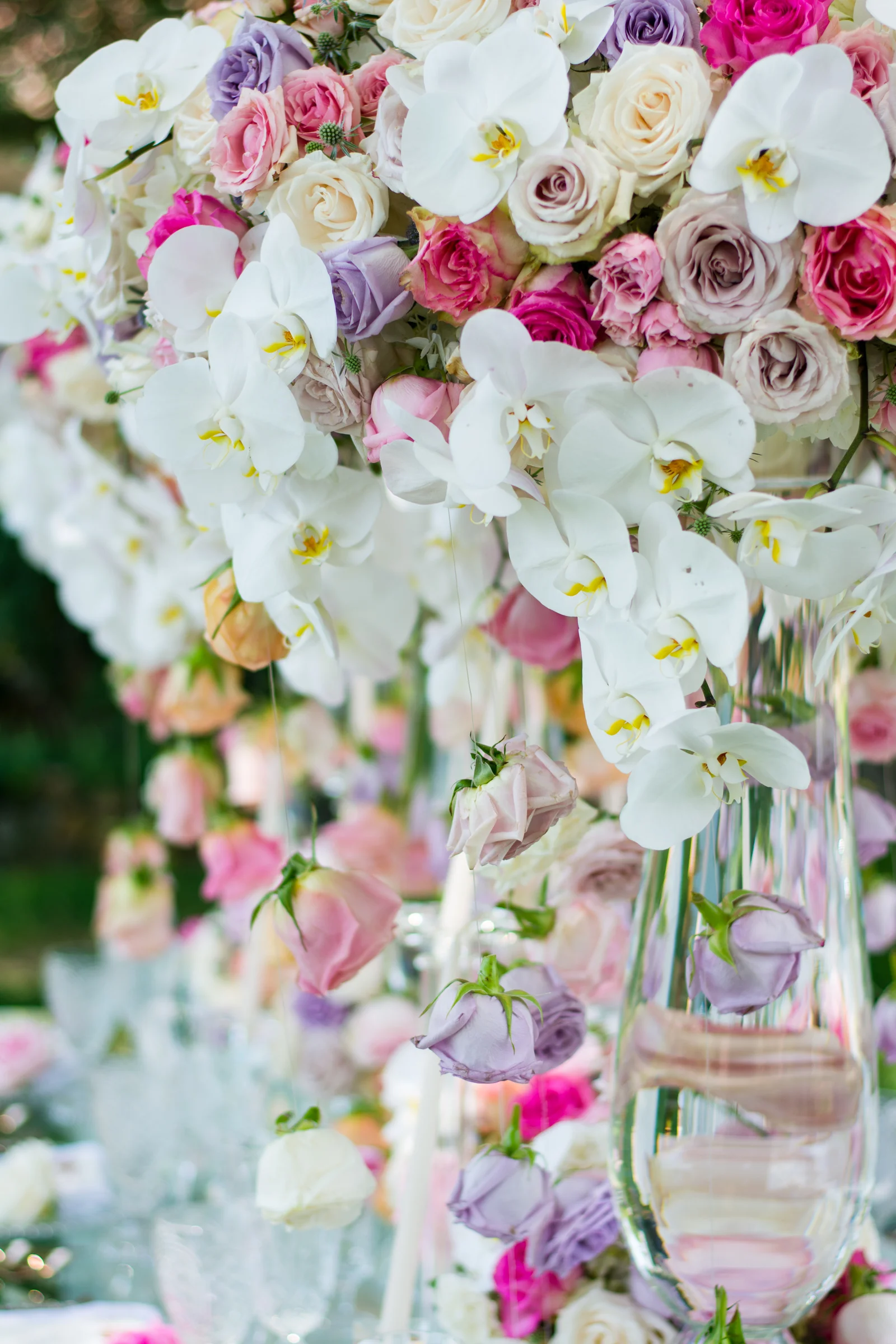 RachaelSmithPhotography_RSP-87.jpg