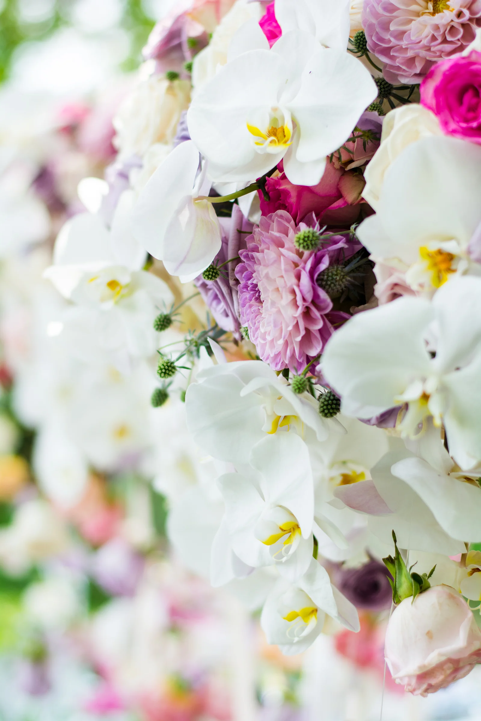 RachaelSmithPhotography_RSP-109.jpg