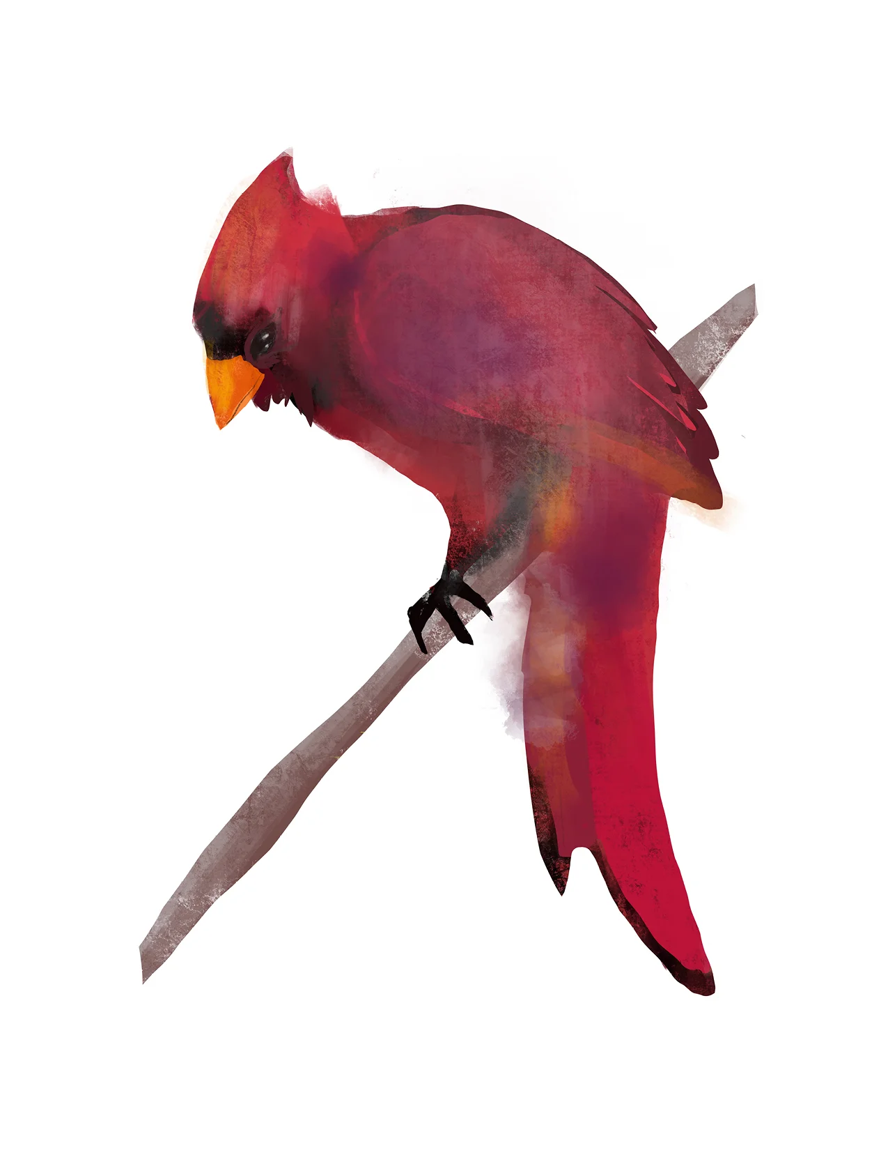 Digital Painting - Cardinal
