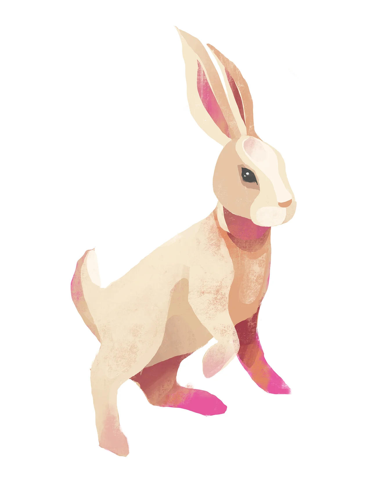 Digital Painting - Rabbit