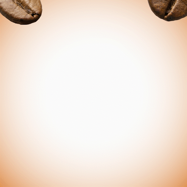 TJ_Breakfast ColdBrew_PaidSocial_V2_R1_1.gif