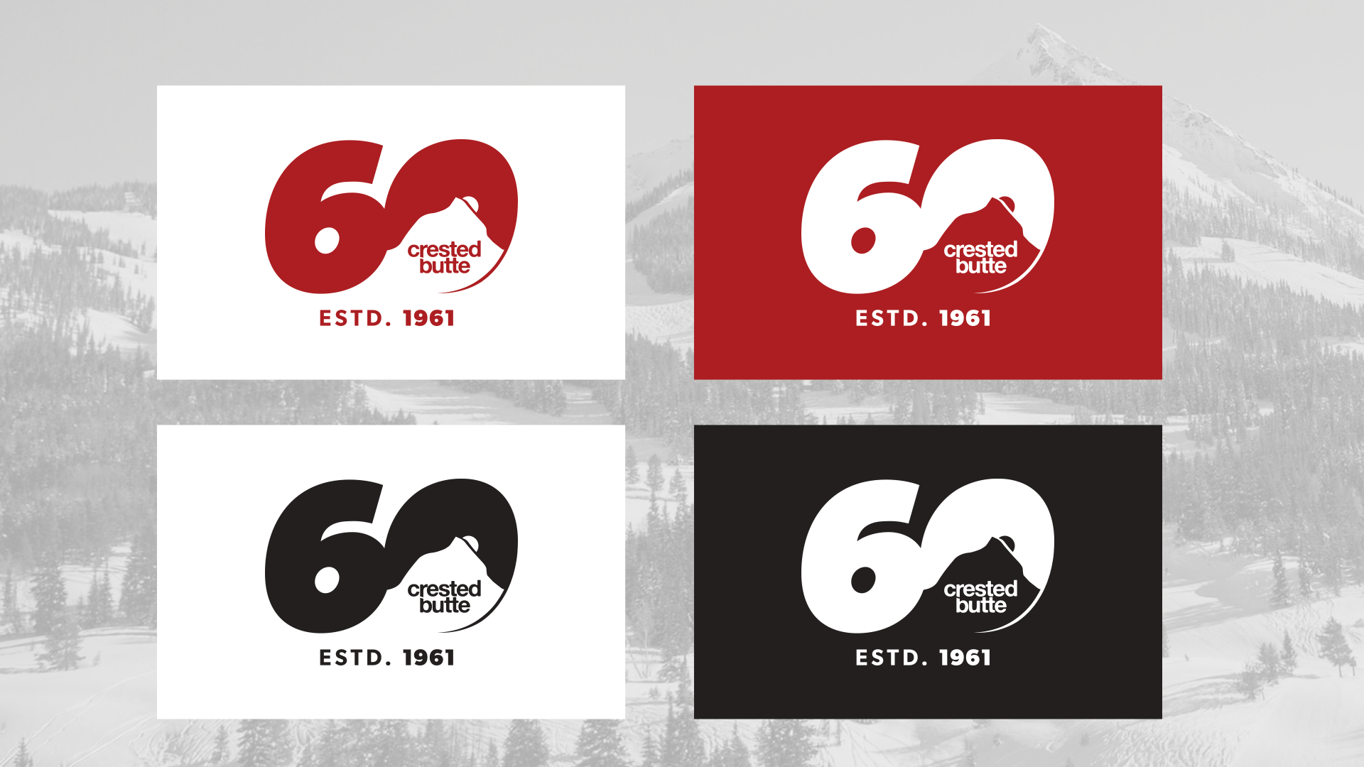 Final logo in all color variations