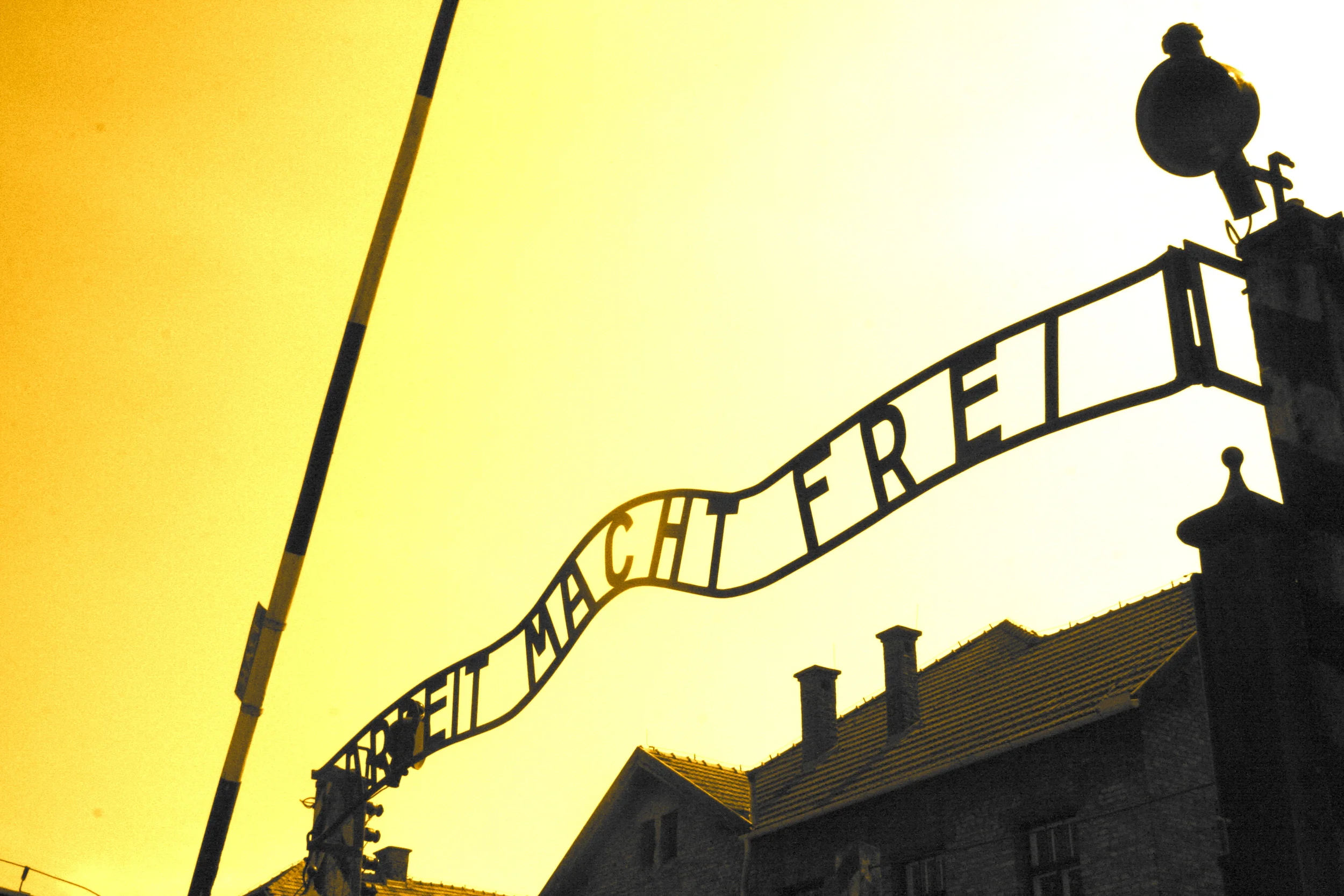 Work Will Set You Free