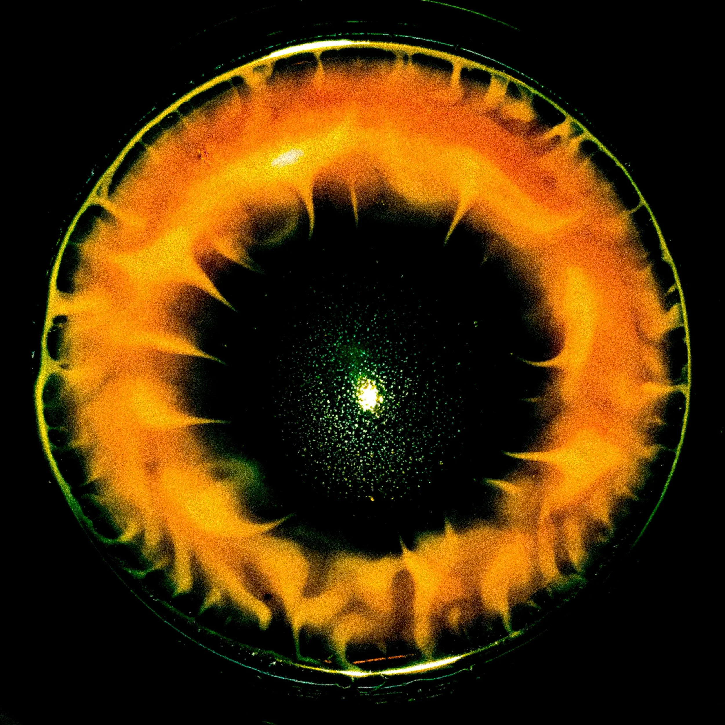 Fire Eye