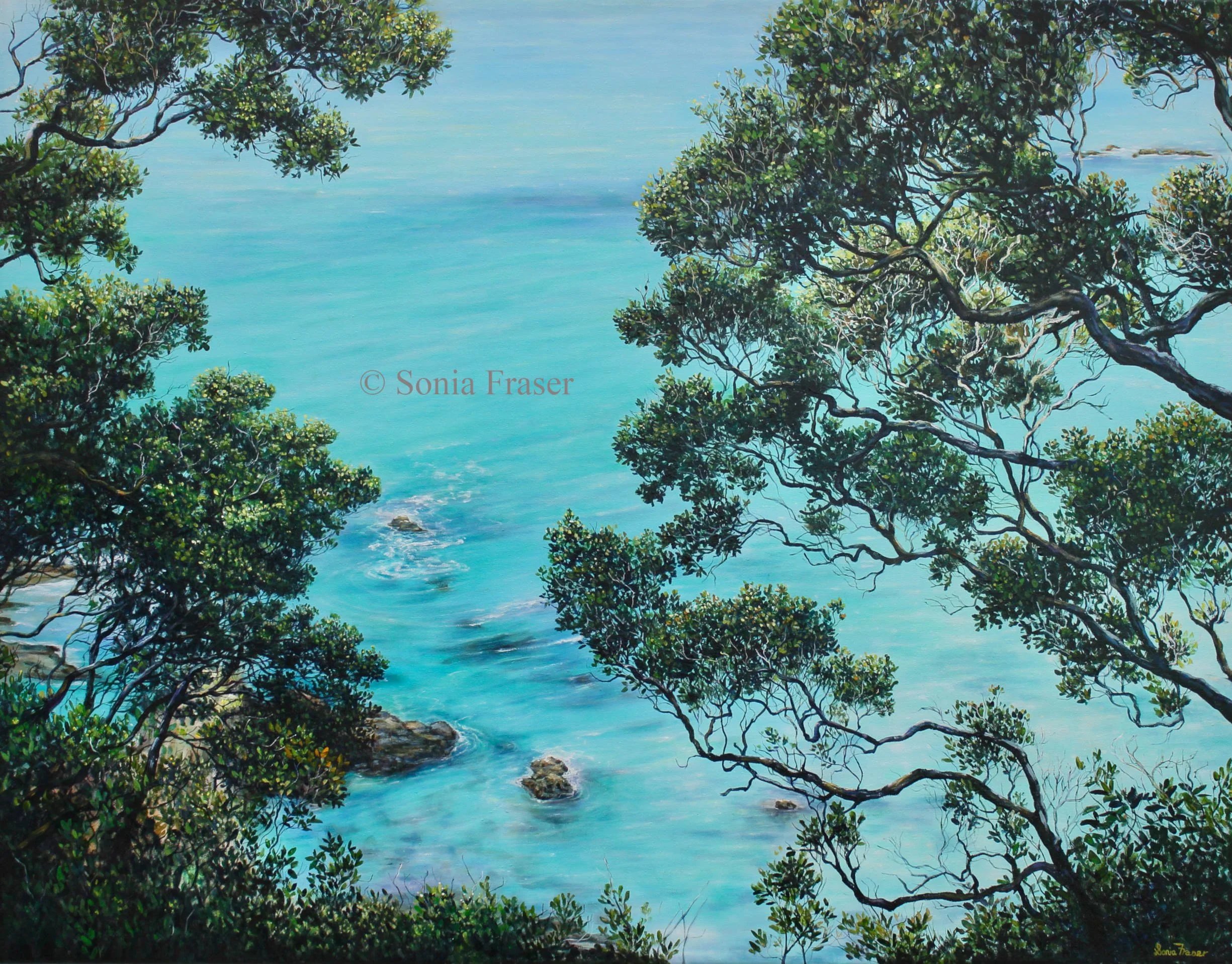 Oruaea Bay, Northland, NZ