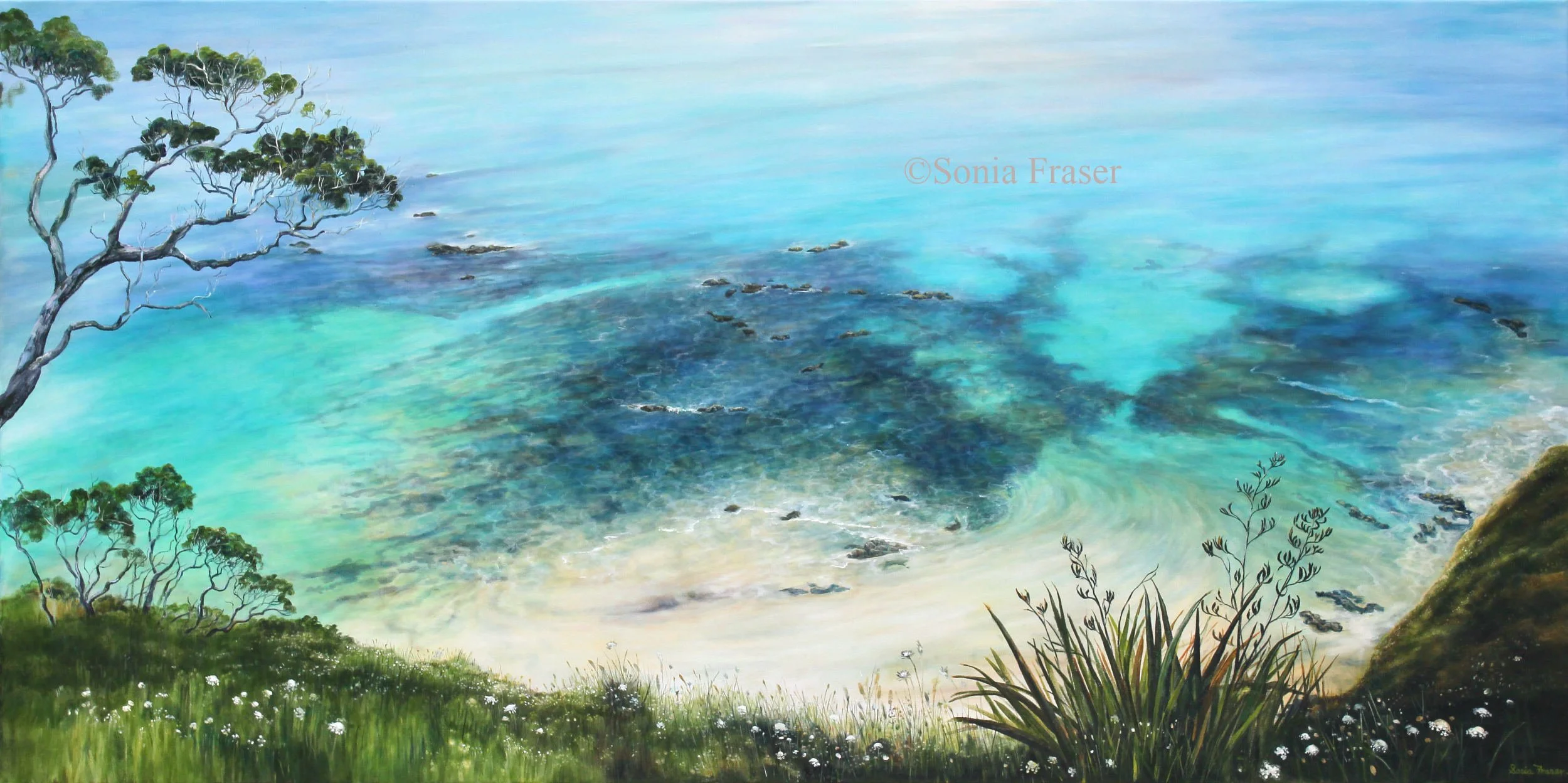 Whananaki Coastal Walk (V)