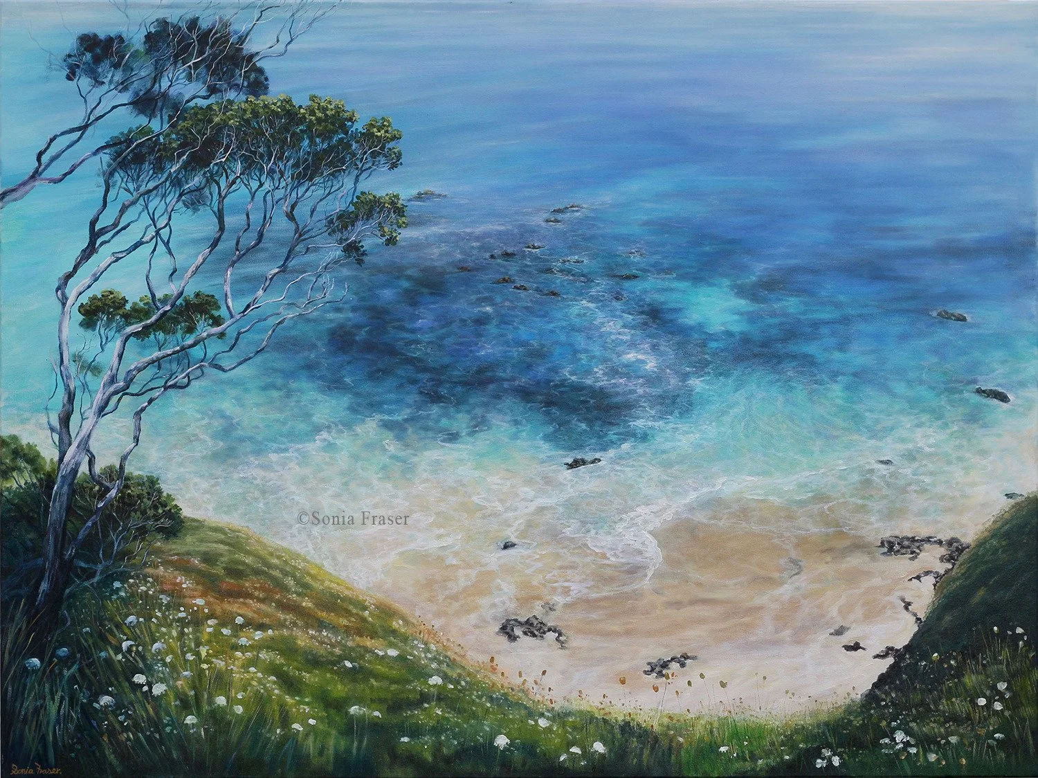 Whananaki coastal walk II