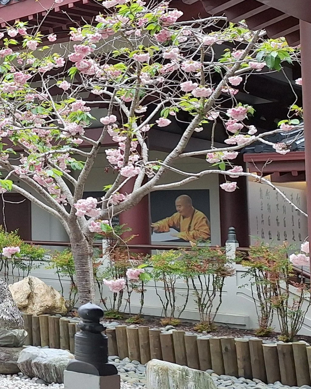 Cheerytree FGY art gallery.jpeg