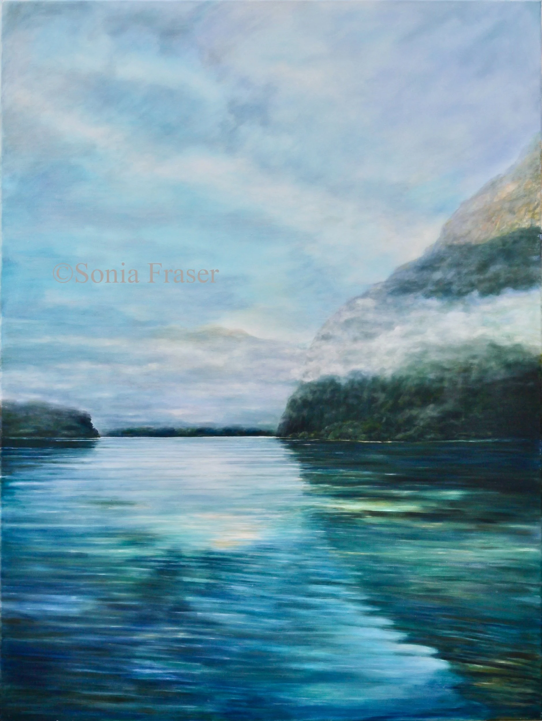 Still Morning Doubtful Sound