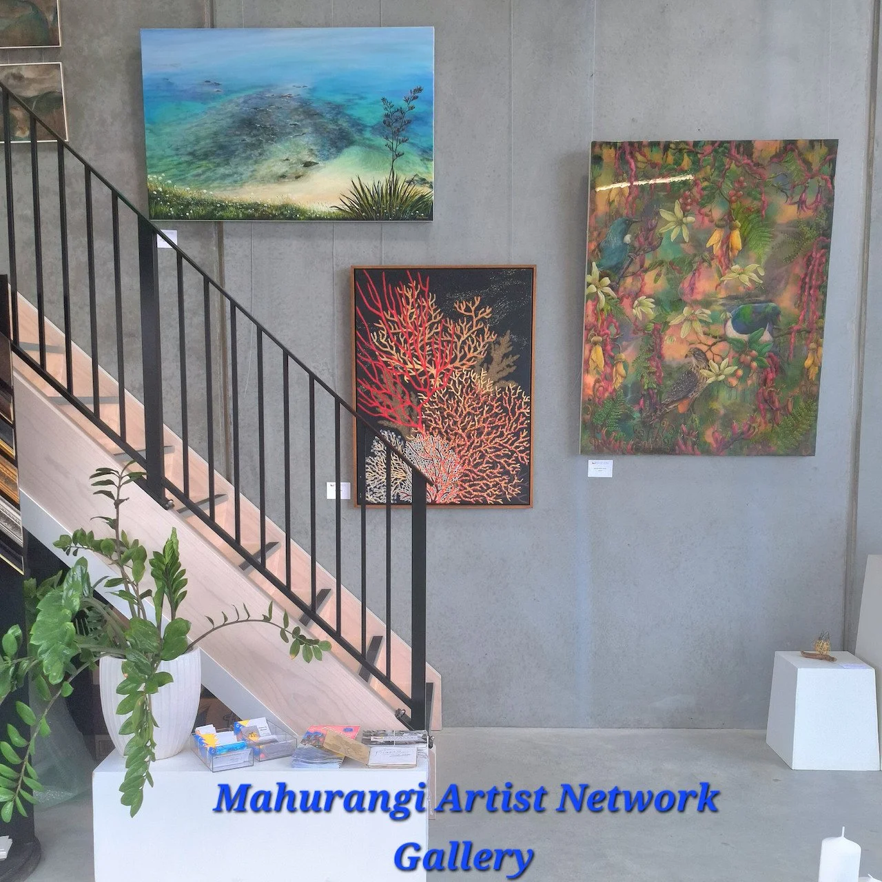 MAN Artist Gallery Sonia Fraser 2.jpg