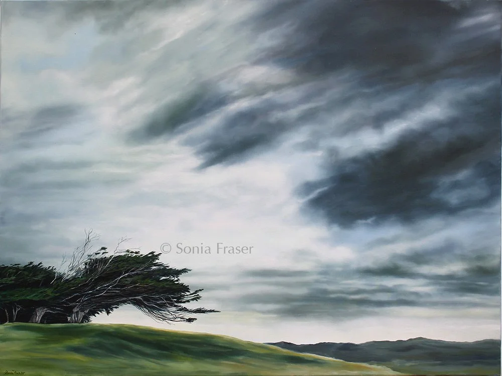Storms endured - small.jpg