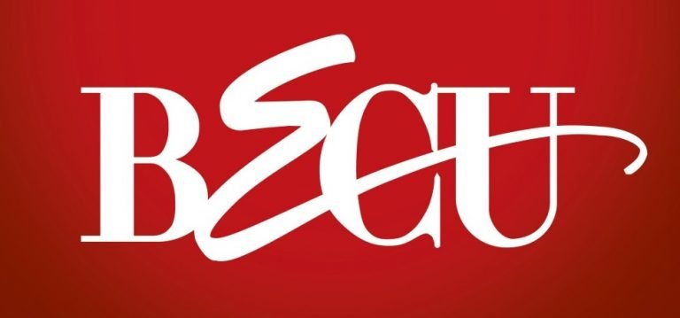 BECU-Logo-1024x1024-11-768x359.jpg