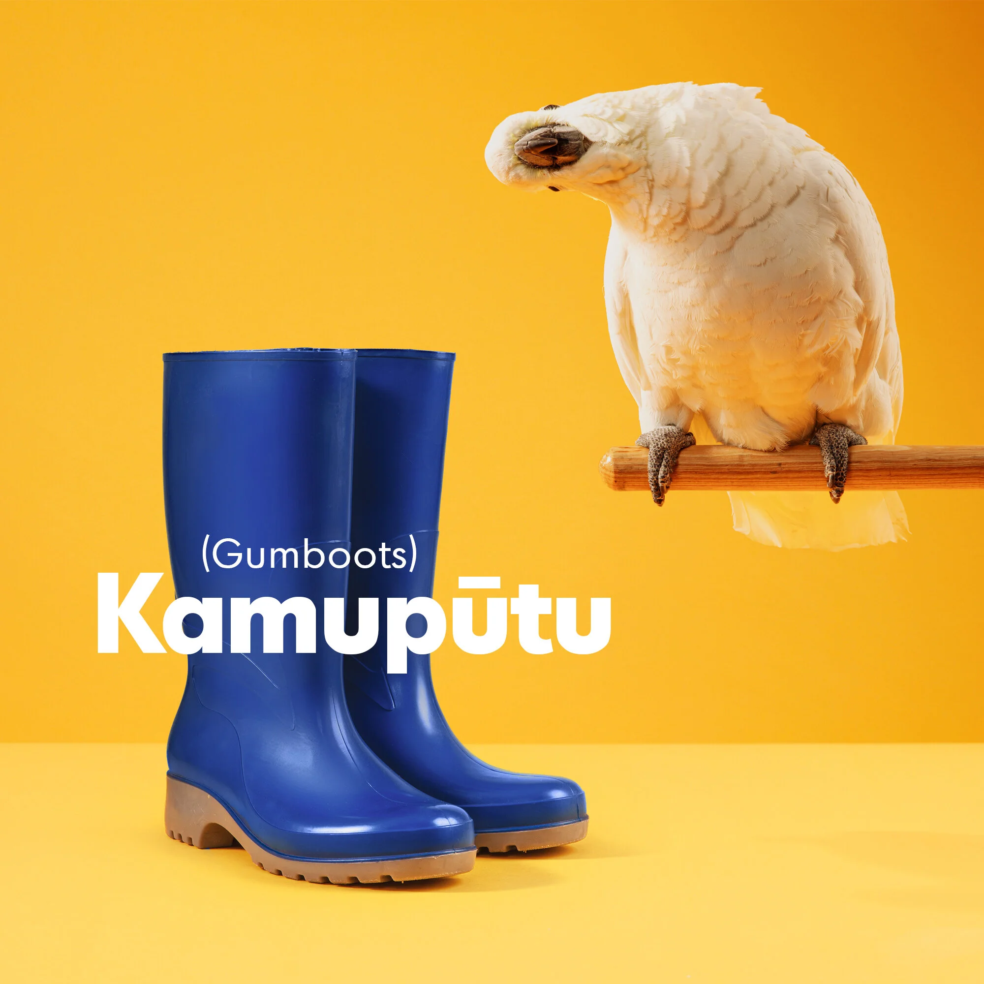 MLW_Cocka-tumeke_Kamupūtu.jpg