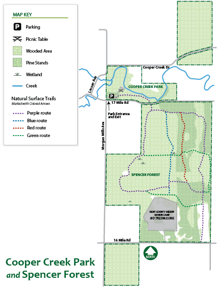Cooper-Creek-Spencer-Forest.gif