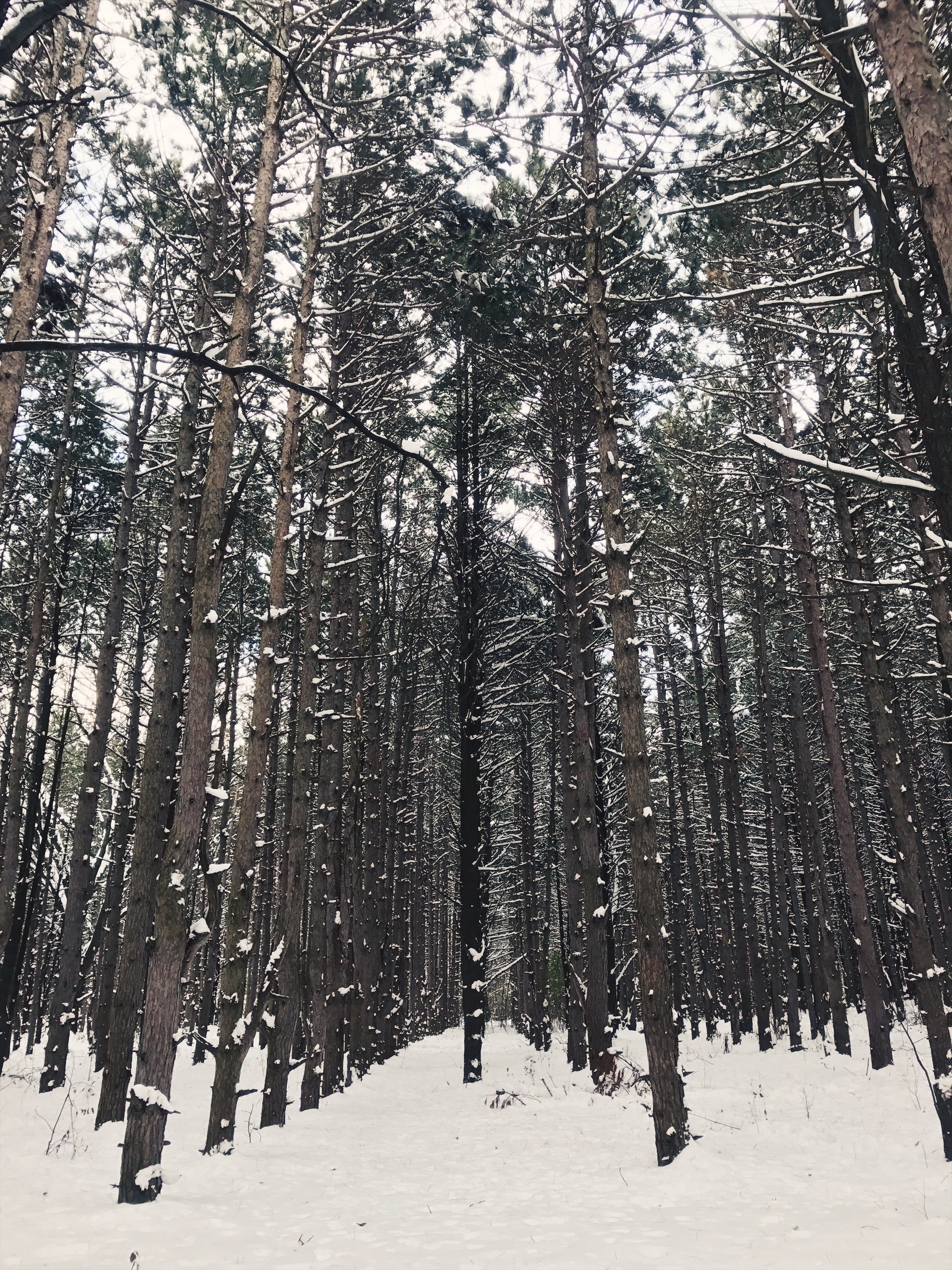 Photo of Provin Trails courtesy of Sierra Rodriguez.