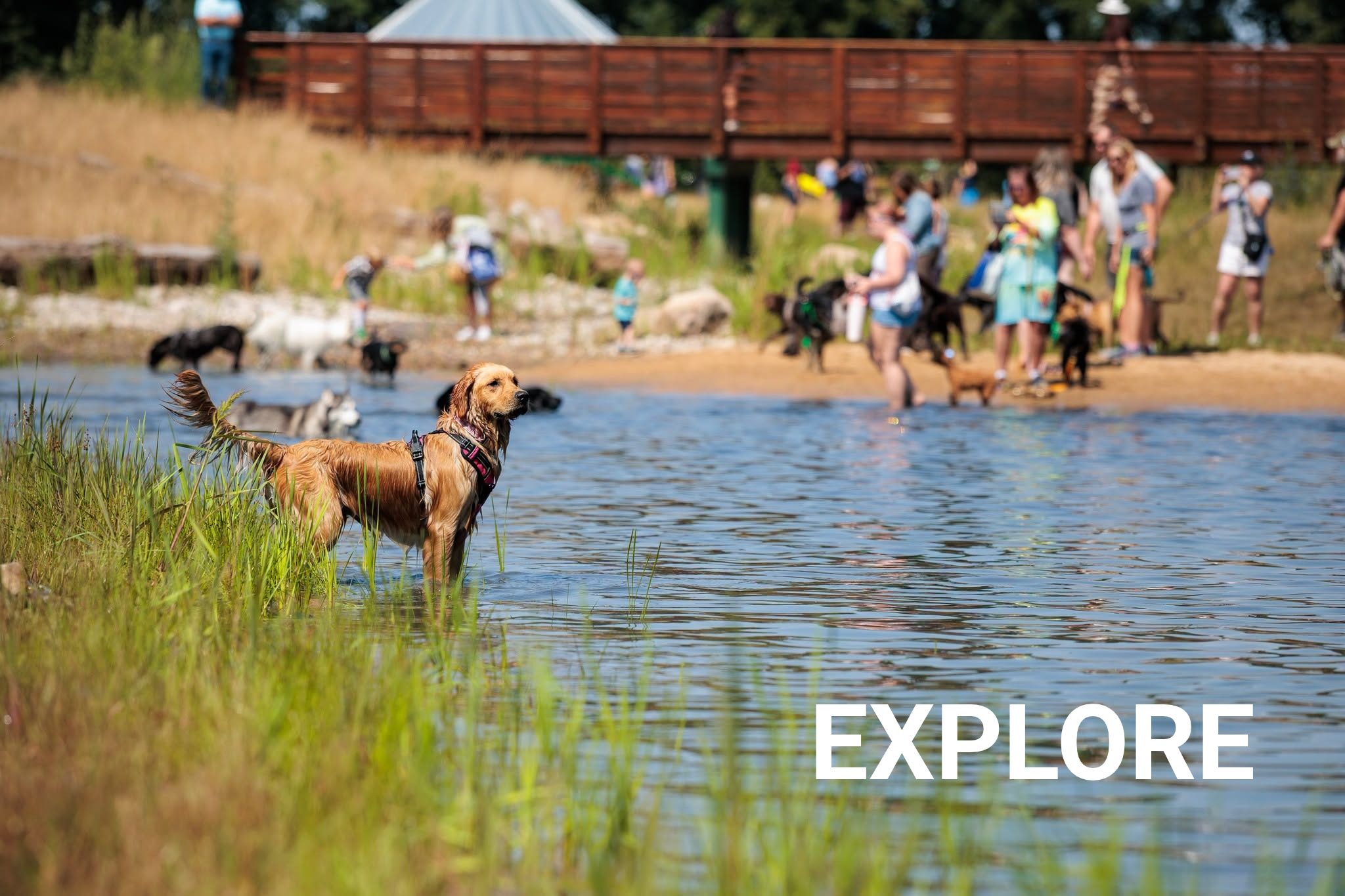 EXPLORE.png