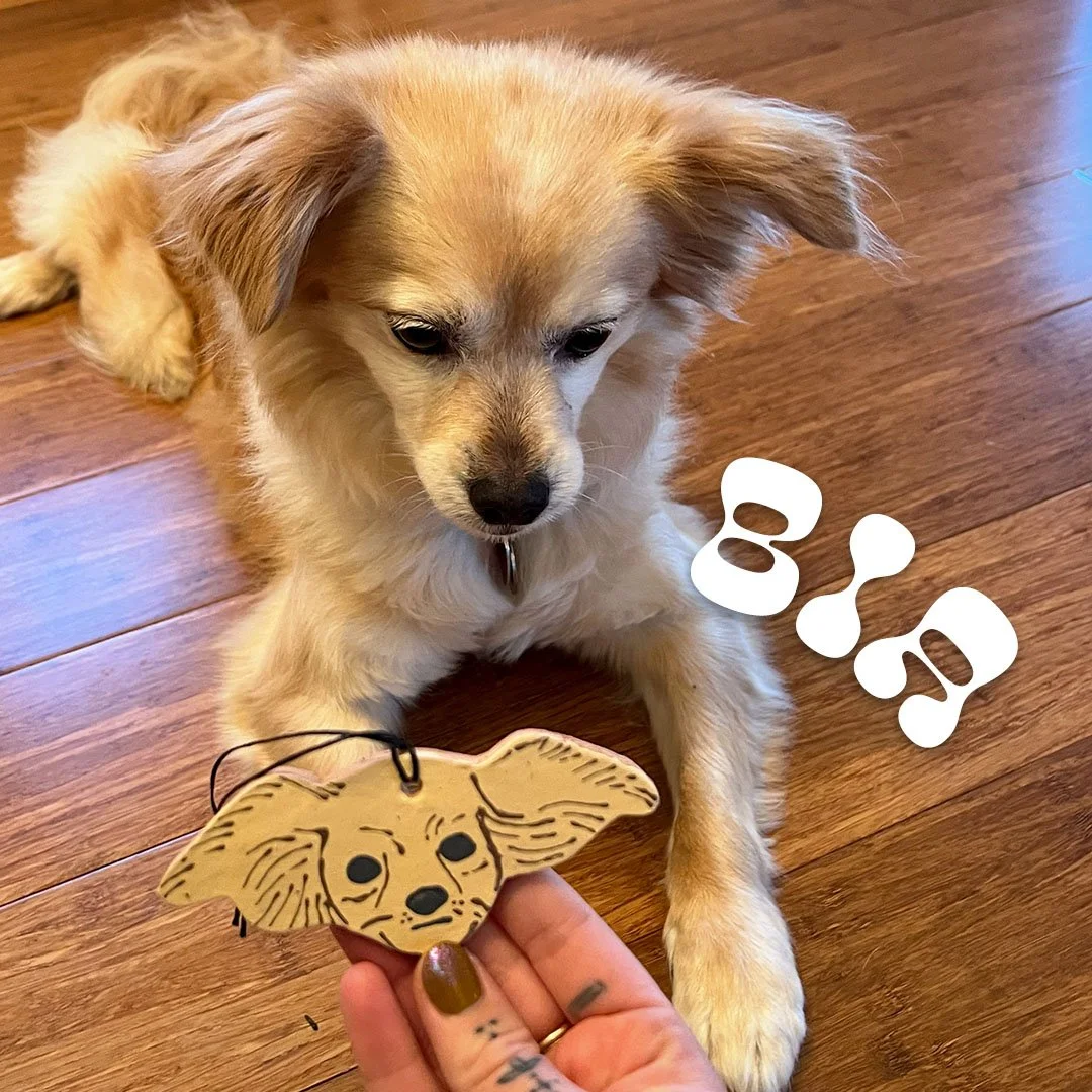 pets_1.jpg